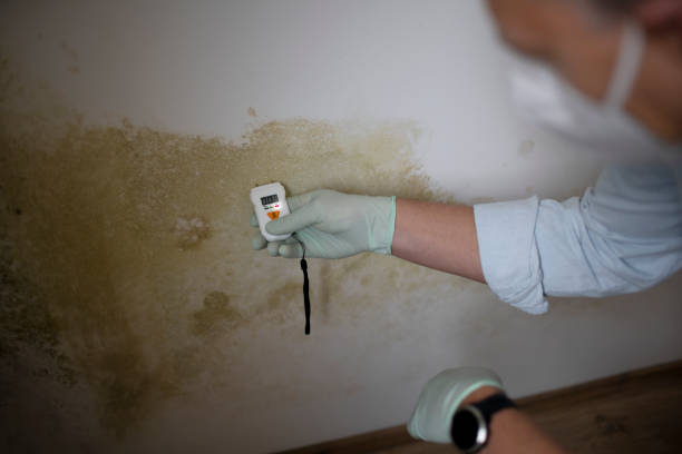 Best Emergency Mold Removal  in Scottsbluff, NE